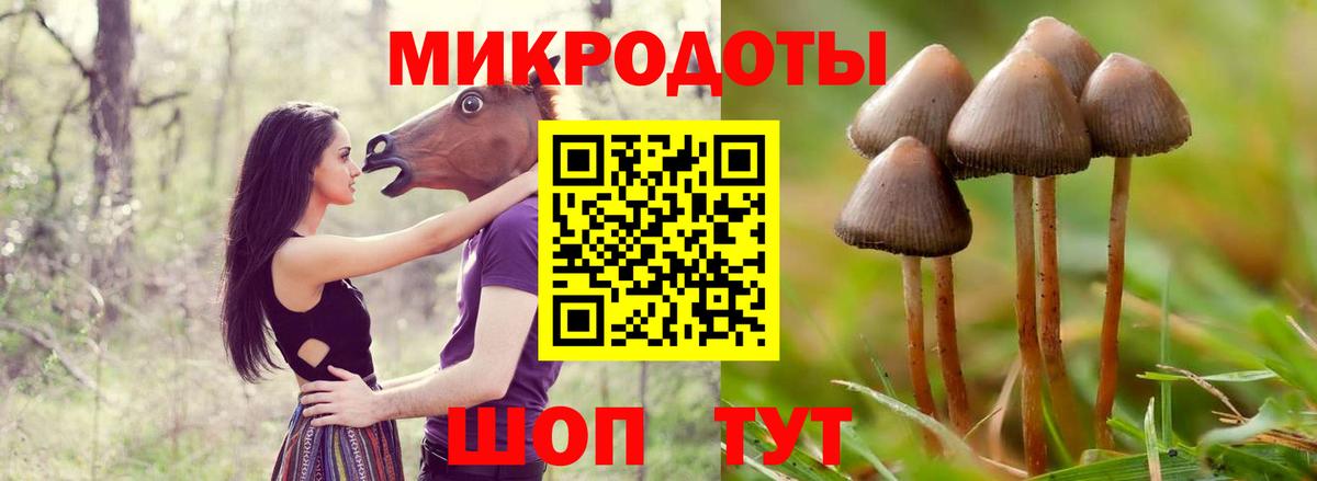 Томск  Галлюциногенные грибы Cubensis  Вход с VPN 